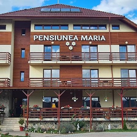 Pensiunea Maria Gilău Zewnętrze zdjęcie