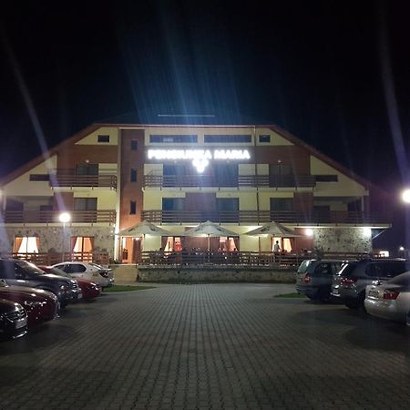 Pensiunea Maria Gilău Zewnętrze zdjęcie