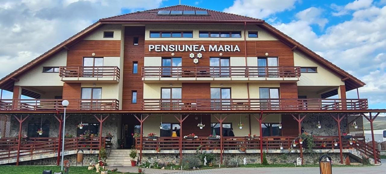 Pensiunea Maria Gilău Zewnętrze zdjęcie